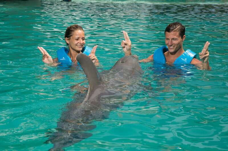 Cancun: Interactive Aquarium - Swim with dolphins Premium - Key Points