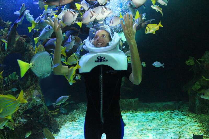 Cancun: Interactive Aquarium - Swim with dolphins Premium - Experience Quality and Reviews