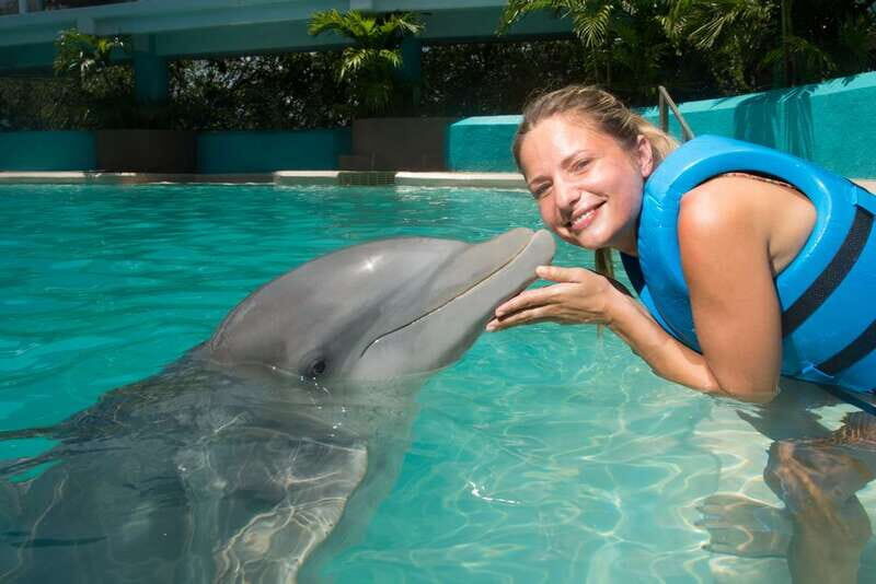 Cancun: Interactive Aquarium - Swim with Dolphins Splash - Key Points