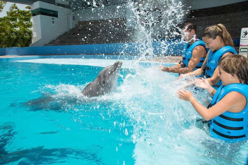 Cancun: Interactive Aquarium - Swim with Dolphins Splash - Authentic Traveler Experiences