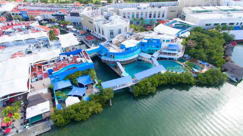 Cancun: Interactive Aquarium - Swim with Dolphins Splash - Who Should Consider This Experience?