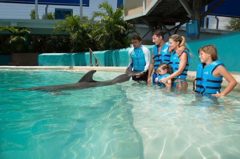 Cancun: Interactive Aquarium - Swim with Dolphins Splash - FAQ