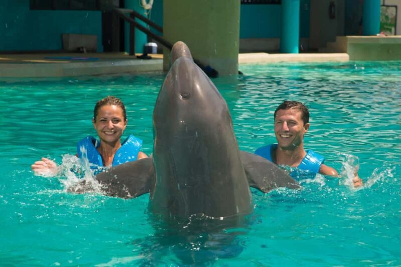 Cancun: Interactive Aquarium Ticket and Swim with Dolphins - Value and Practical Tips