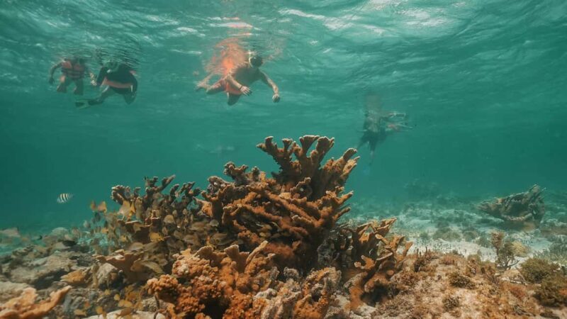 Cancun: Isla Mujeres Adults Only Party Catamaran with Drinks - The Experience: What to Expect on This Catamaran Tour