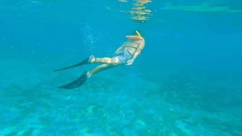Cancun: Isla Mujeres Full Day Dancer Cruise - Key Points