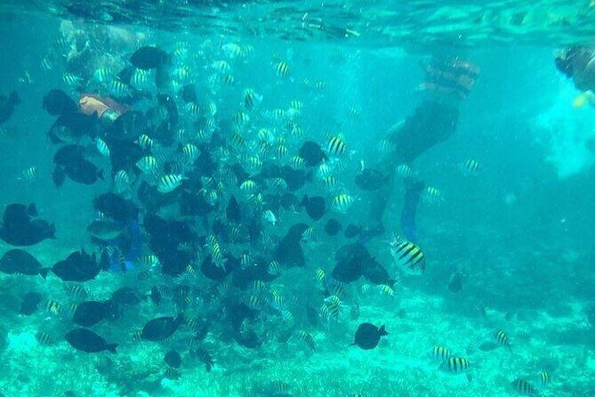 Cancun Jetski and Snorkel Adventure - The Guides and Group Experience