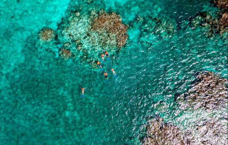 Cancun: Jungle Tour Adventure with Speedboat and Snorkeling - Key Points