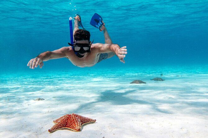 Cancun Jungle Tour with Speedboat and Snorkeling - The Sum Up