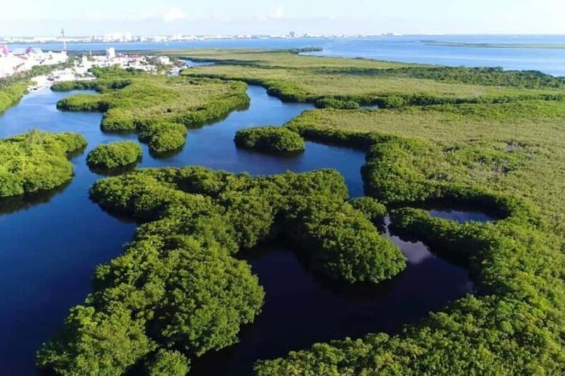 Cancun: Jungle Tour with Speedboat Ride and Snorkeling - What Makes This Tour Special?