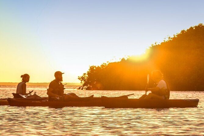 Cancun Lagoon Sunrise Kayak Adventure - A Detailed Look at the Cancun Lagoon Sunrise Kayak Adventure
