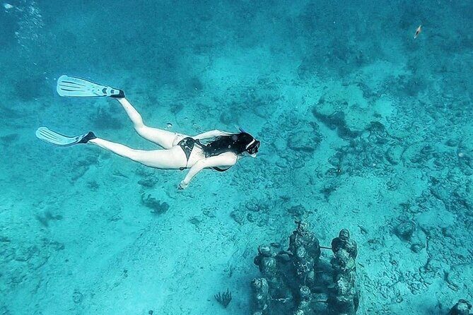 Cancun Mangroves Tour with Shared Speed Boats Ride and Snorkelling - FAQ