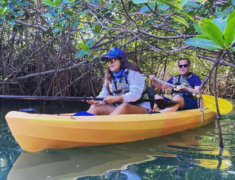 Cancún: Morning or Sunset Kayak Adventure in Nichupte Lagoon - Key Points: