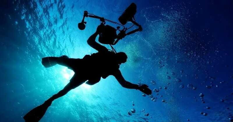 Cancun: MUSA Diving for certified divers morning dive trip - Who Should Consider This Tour?