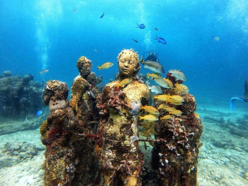 Cancun: Musa Underwater Museum & Reef Discover Scuba Diving - An Overview of the Experience