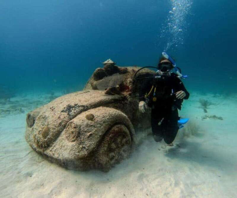 Cancun: PADI Open Water Diver Course - Introduction: Is this the right way to start your underwater journey?