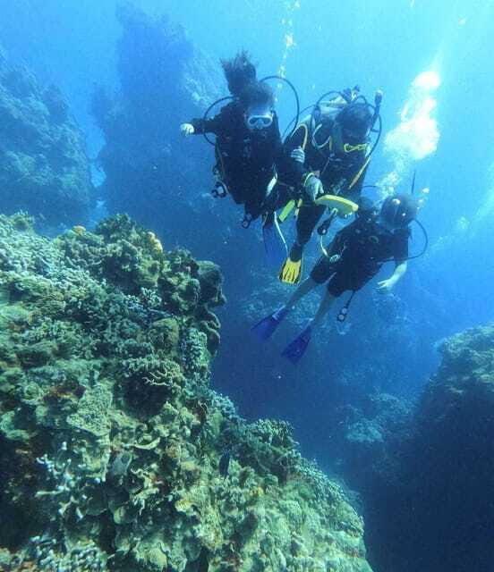 Cancun: Parrotfish Adventure Package - Authentic Traveller Insights