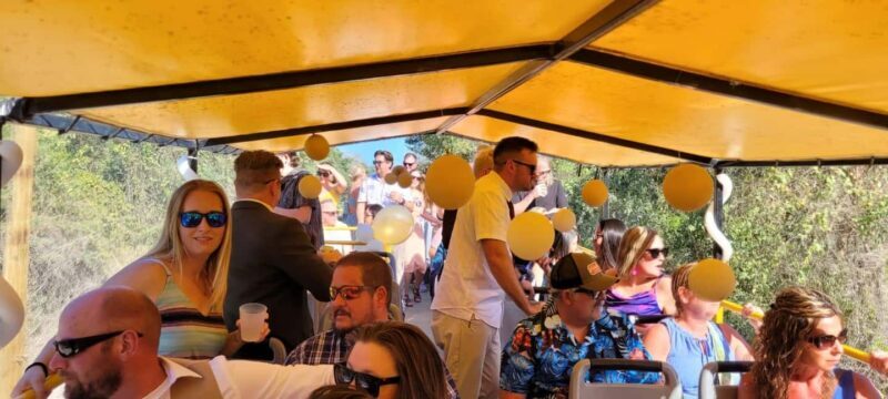 Cancun: Private 3 Hour Party Bus Experience - Value and Pricing: Is It Worth It?