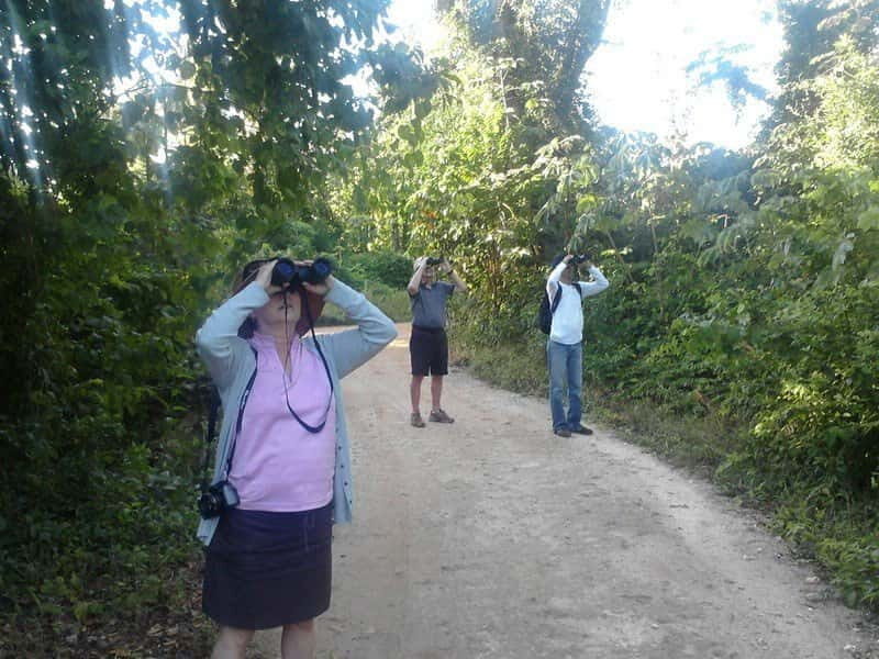 Cancun: Private Birdwatching Tour - Final Words