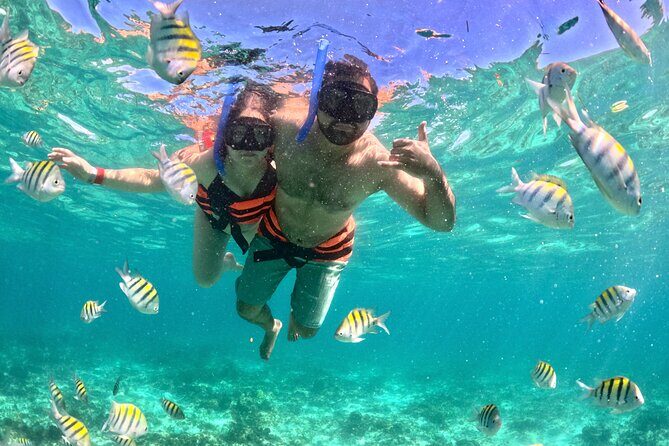 Cancun Private Catamaran Cruise Open Bar & Snorkeling Experience - The Sum Up