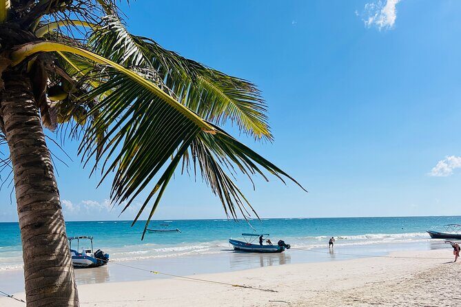 Cancun Private Driver - Detailed Breakdown of the Experience