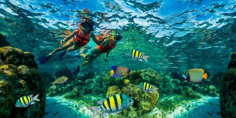Cancún: Puerto Morelos Reef Snorkeling Tour & Seaside Lunch - The Important Details