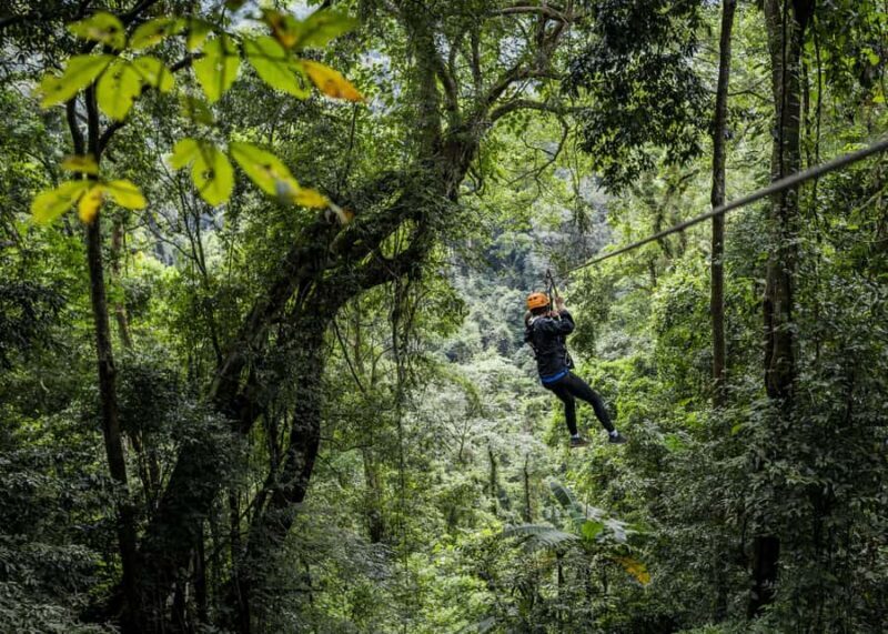 Cancun: Quad adventure, ziplines, and a swim in a jungle cenote - What the Reviews Say