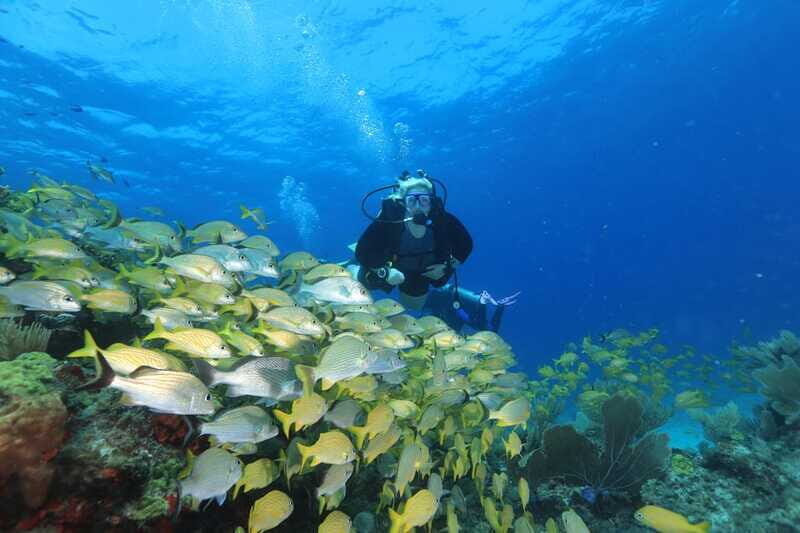 Cancun: Scuba Diving for Beginners, 2 Dives - Logistics and Practical Details