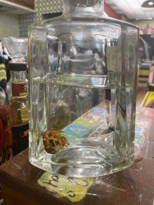 Cancun: Shopping Tour & Market 28 - Who Will Love This Tour?