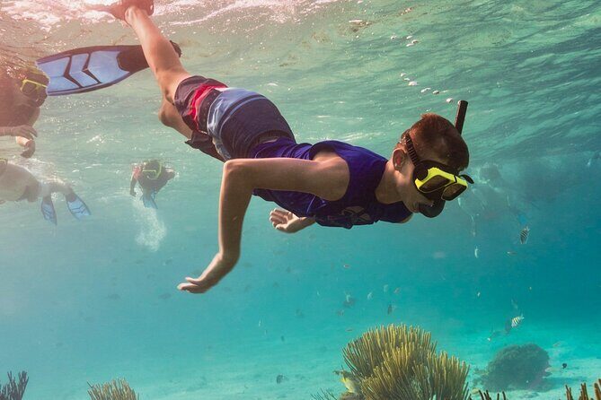 Cancun: Snorkeling Adventure at Puerto Morelos Reef - An Introduction to Cancuns Snorkeling Tour at Puerto Morelos Reef