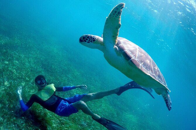 Cancun Snorkeling Adventure: Underwater Museum, Reef & Shipwreck - The Pros and Cons Based on Reviews