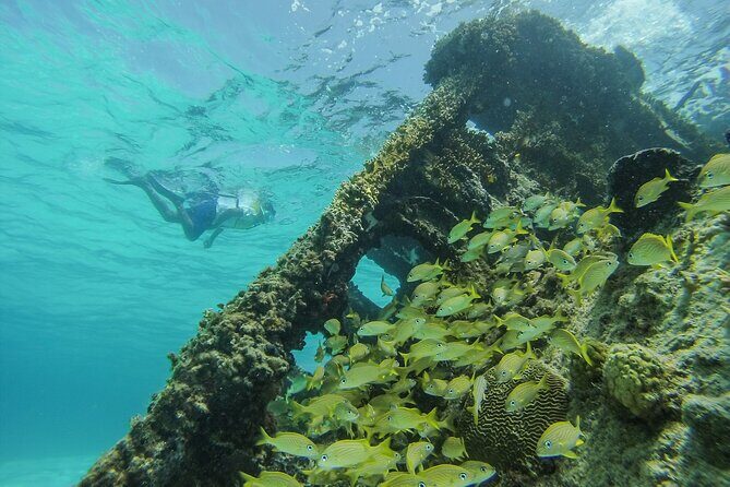 Cancun Snorkeling Adventure: Underwater Museum, Reef & Shipwreck - Pricing and Overall Value