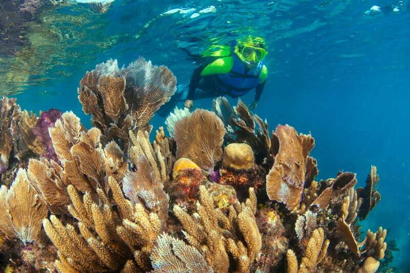 Cancun: Snorkeling Tour at MUSA The Underwater Museum - Who Should Consider This Tour?