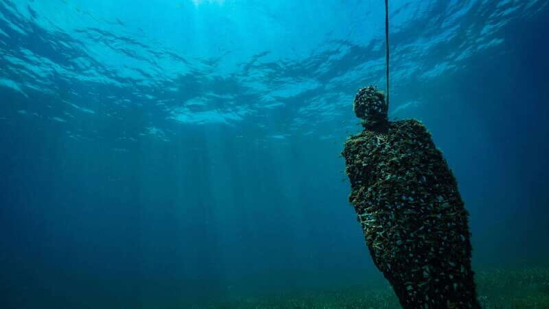Cancun: Snorkeling Tour at MUSA The Underwater Museum - The Bottom Line: Is It Worth It?