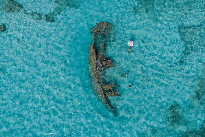 Cancun Snorkeling Tour: Swim with Turtles, Reef, Underwater Museum and Shipwreck - An In-Depth Look at the Cancun Snorkeling Experience