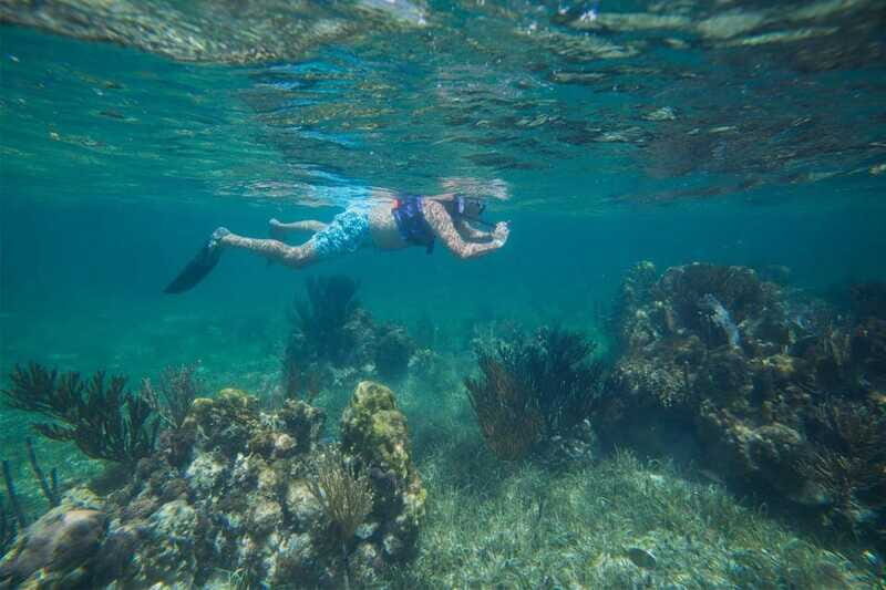 Cancun: Snorkeling Tour with Hotel Pickup - The Value and Who Will Enjoy This
