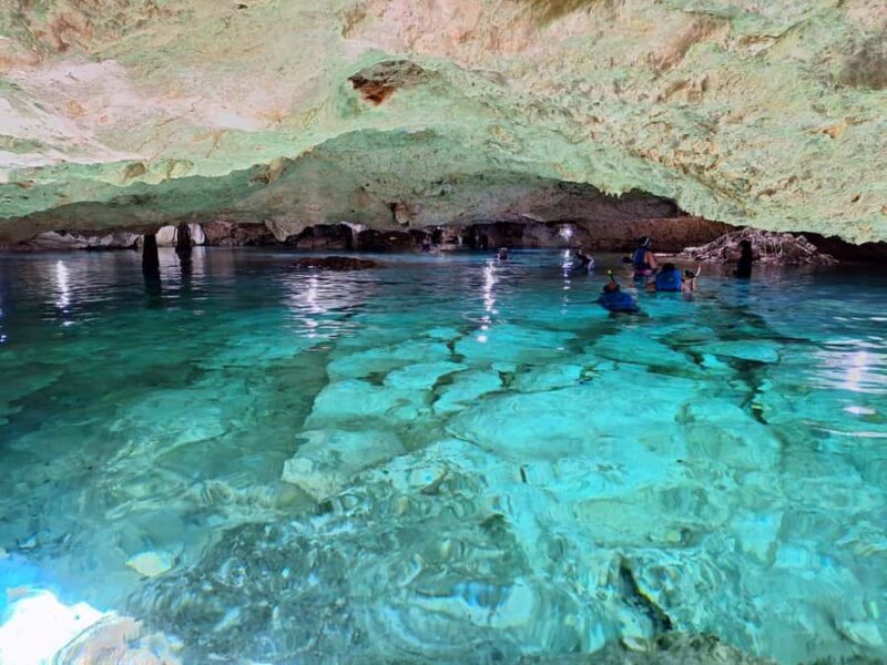 Cancun: Snorkeling tour with Sea Turtles & Cenote, half day. - The Sum Up