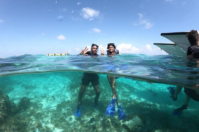 Cancun Speed Boat, Parasailing and Dolphin Beach with Transport - The Sum Up