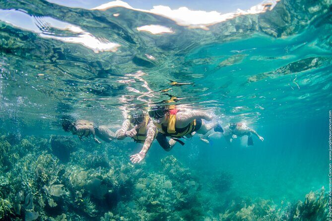 Cancun Speedboat And Snorkel Tour - Final Thoughts on Value and Experience