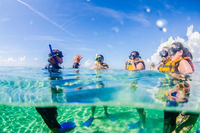 Cancun speedboat and snorkel tour: shared speedboat - Final Thoughts