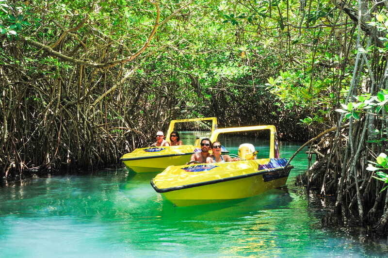 Cancun: Speedboat Mangrove Jungle & Snorkel Tour - The Sum Up