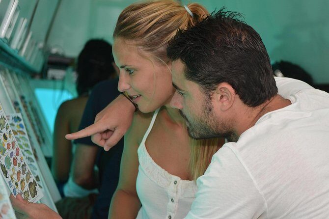 Cancun Submarine and Optional Snorkeling Tour - Frequently Asked Questions