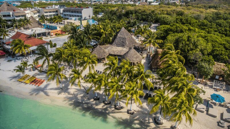 Cancún: Swim with Whale Sharks & Playa Norte Beach - An In-Depth Look at the Experience