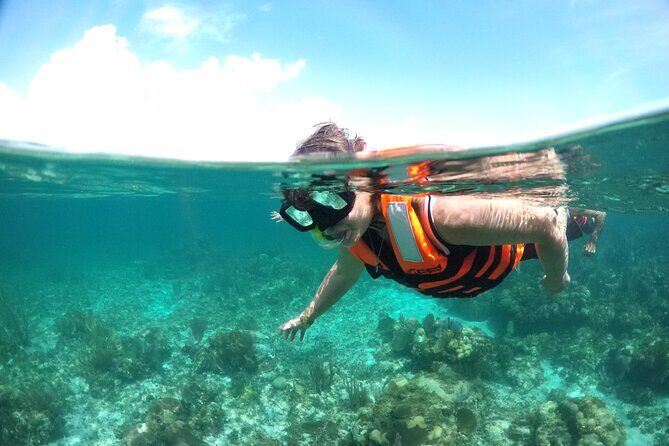 Cancun to isla mujeres catamaran sailing - Final Thoughts: Is This Tour for You?