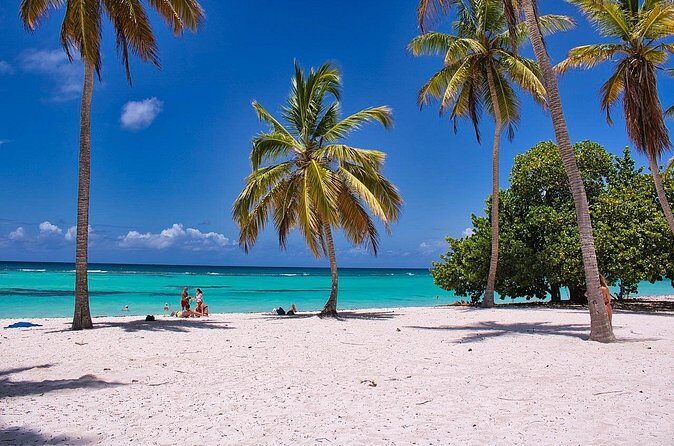 Cancun to Playa del Carmen private transfer, with option to stop - The Vehicle and Amenities