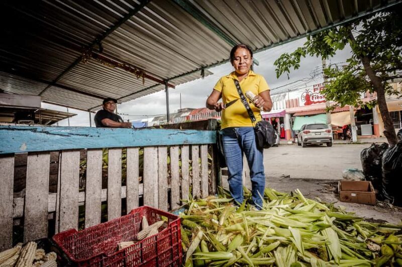 Cancún: Tortilla Trails Food Tour with 15+ Tastings - Who Should Consider This Tour?
