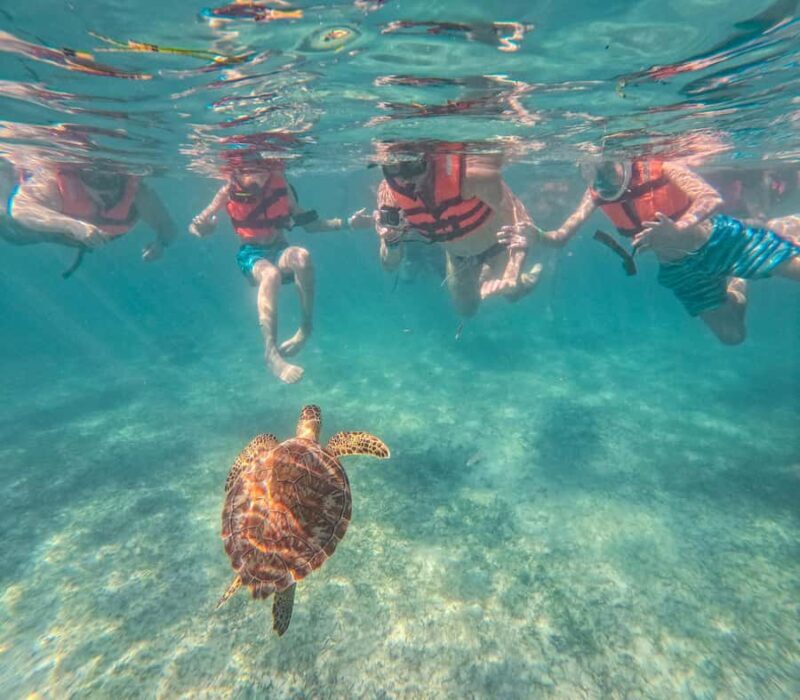 Cancun: Tulum Ruins, Akumal Turtles, Cenote & Caves Tour - Final Thoughts: Who Will Enjoy This Tour?