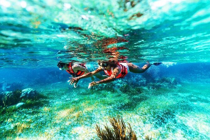 Cancun Ultimate 5x1 ATV Ziplines, Cenote, Tequila & Reef snorkel - Key Points