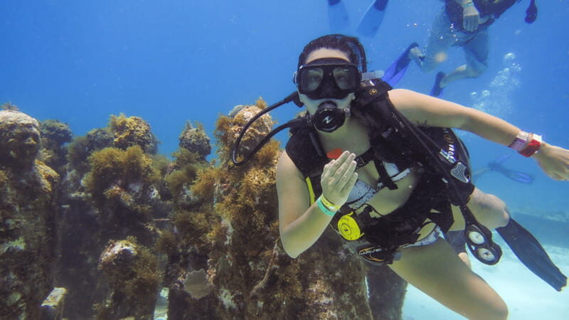 Cancún: Underwater Museum & Reef for Certified Scuba Divers - The Sum Up: Who Should Consider This Tour?