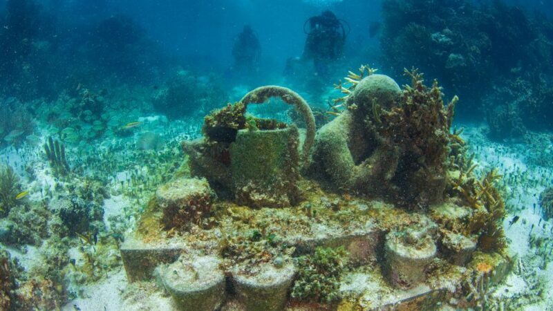 Cancún: Underwater Museum & Reef for Certified Scuba Divers - FAQ: Practical Questions Answered