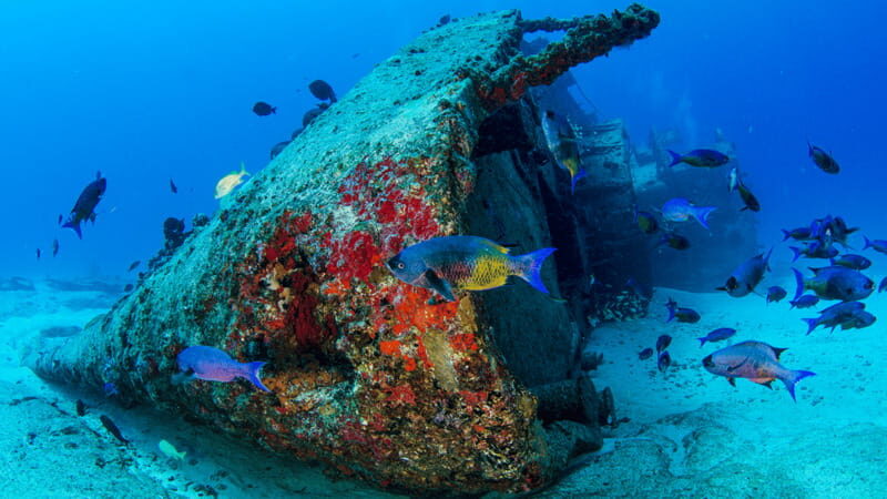 Cancún: Wreck and Reef for Certified Scuba Divers - An Honest Take on the Tour Experience